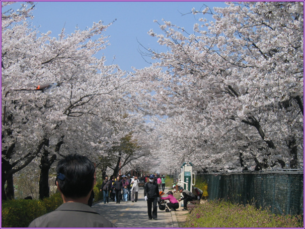 �����ֺ��ü� - �ް�/����