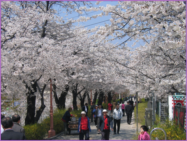 �����ֺ��ü� - �ް�/����