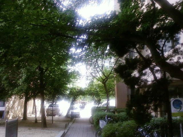 �������ü� - ����ü�