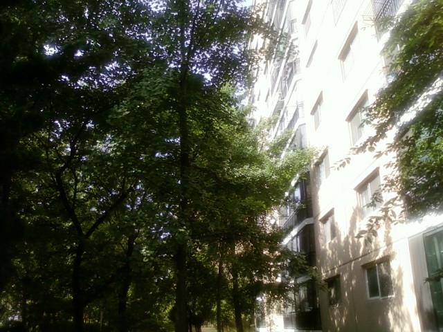 �������� - ������������