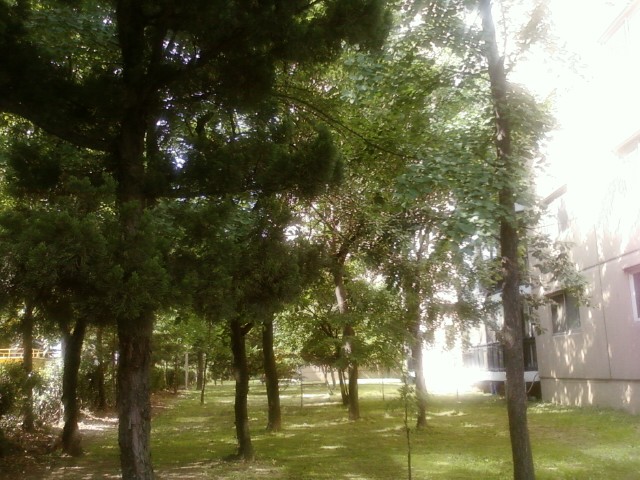 �������ü� - ����ü�