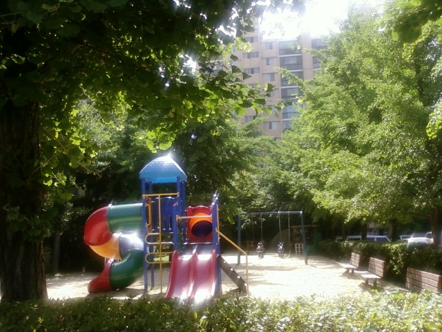 �������ü� - ������