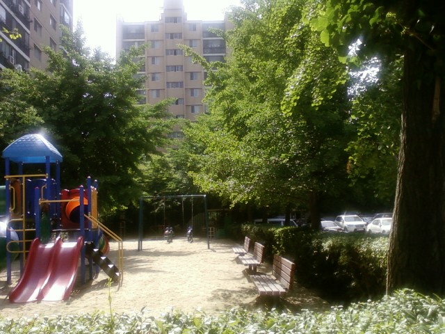 �������ü� - ������