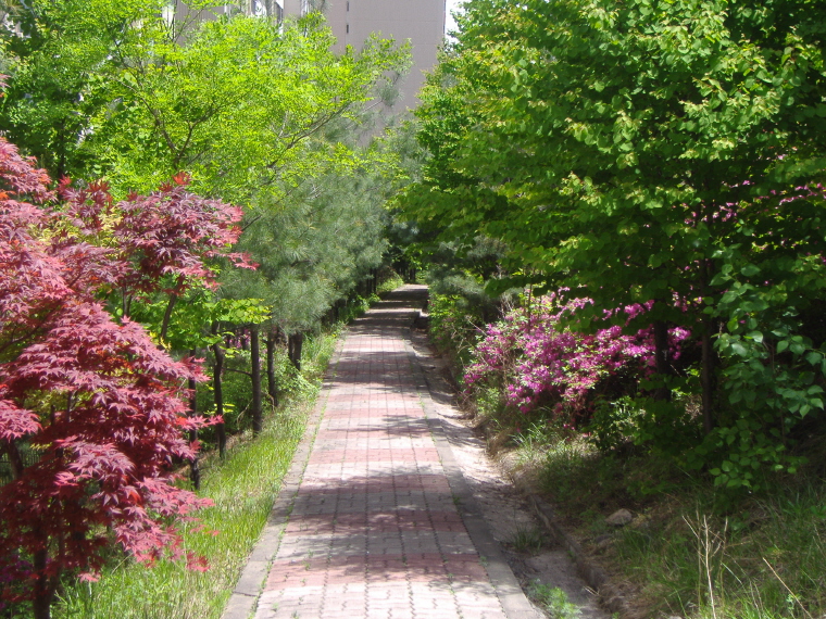 �������ü� - ��å��(����)