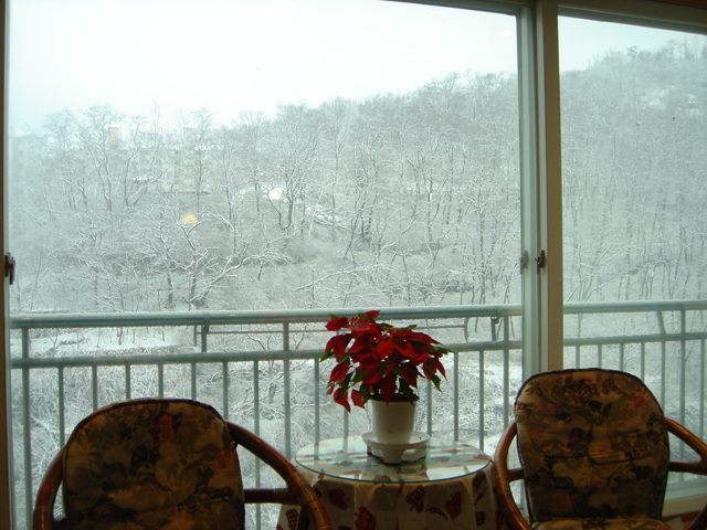 �ܺ����� - ��