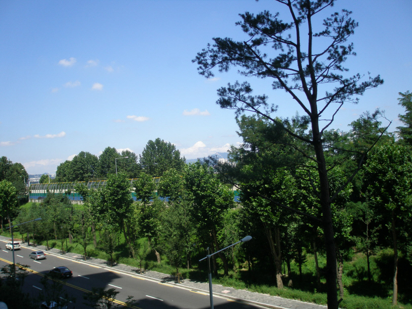 �ܺ����� - ��