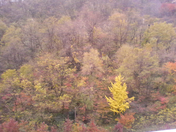 �ܺ����� - ��