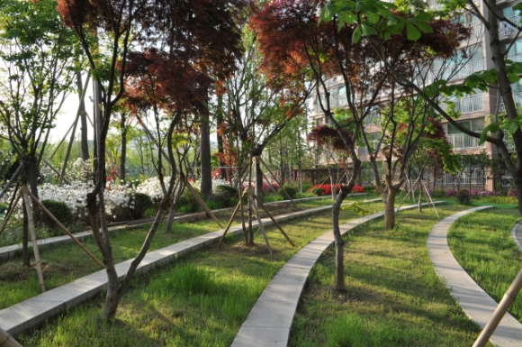 �������� - ������������