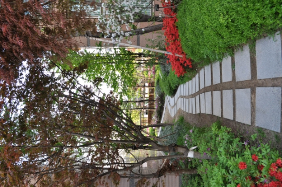 �������ü� - ��å��(����)