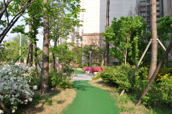 �������ü� - ��å��(����)