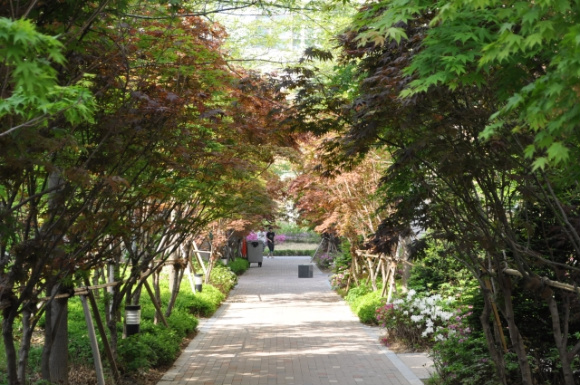 �������ü� - ��å��(����)