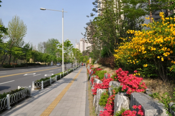 �����ֺ��ü� - �ֺ�����