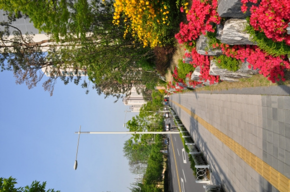 �����ֺ��ü� - �ֺ�����