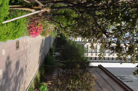 �������ü� - ��å��(����)